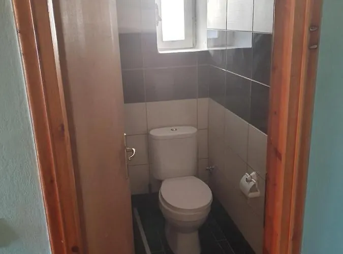 Basil & Breeze Lazaráta